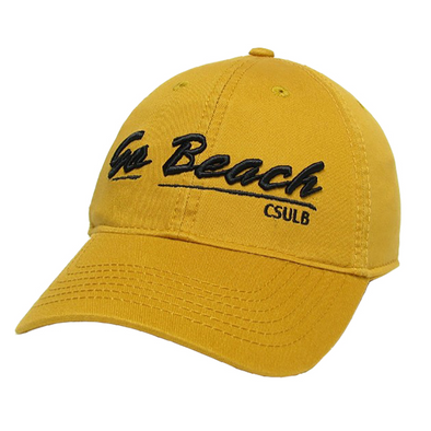 beach boys tour hats